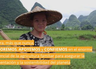 #COVID-19 ¡AGRADECIMIENTO A TODOS LOS AGRICULTORES Y AGRICULTORAS FAMILIARES DEL MUNDO!