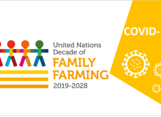 EL DECENIO DE LAS NACIONES UNIDAS DE LA AGRICULTURA FAMILIAR EN RESPUESTA A LA CRISIS GENERADA POR LA COVID-19