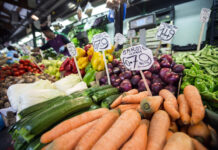 Buenas Prácticas y Aprendizajes en la implementación del DNUAF 2019-2028