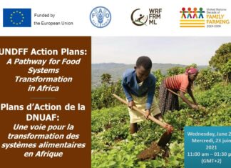 INTERCAMBIO EN LÍNEA PLANES DE ACCIÓN DEL DECENIO DE LAS NACIONES UNIDAS PARA LA AGRICULTURA FAMILIAR: UNA VÍA PARA LA TRANSFORMACIÓN DE LOS SISTEMAS ALIMENTARIOS EN ÁFRICA