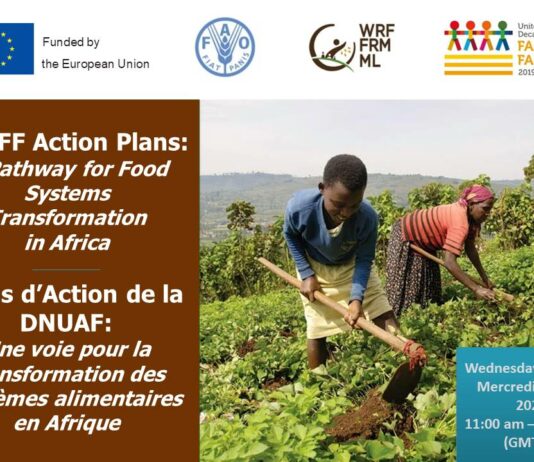 ONLINE EXCHANGE: UNITED NATIONS DECADE OF FAMILY FARMING ACTION PLANS: A PATHWAY FOR FOOD SYSTEMS TRANSFORMATION IN AFRICA