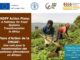 ÉCHANGE EN LIGNE PLANS D’ACTION DE LA DÉCENNIE DES NATIONS UNIES POUR L’AGRICULTURE FAMILIALE: UNE VOIE POUR LA TRANSFORMATION DES SYSTÈMES ALIMENTAIRES EN AFRIQUE