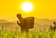 45 CNAF PROMUEVEN CON ÉXITO LA IMPLEMENTACIÓN DEL DECENIO DE LA AGRICULTURA FAMILIAR