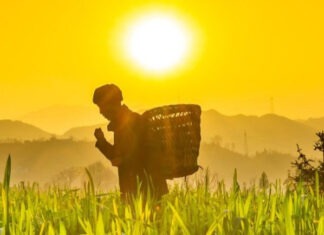 45 CNAF PROMUEVEN CON ÉXITO LA IMPLEMENTACIÓN DEL DECENIO DE LA AGRICULTURA FAMILIAR