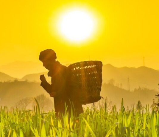 45 CNAF PROMUEVEN CON ÉXITO LA IMPLEMENTACIÓN DEL DECENIO DE LA AGRICULTURA FAMILIAR