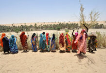 EL DECENIO PARA LA AGRICULTURA FAMILIAR AVANZA NOTABLEMENTE EN ÁFRICA