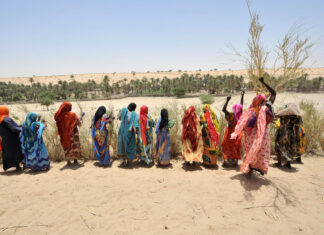 LA DÉCENNIE POUR L’AGRICULTURE FAMILIALE FAIT DE GRANDS PROGRÈS EN AFRIQUE