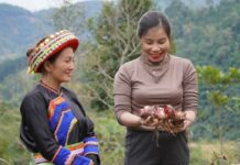 JÓVENES DE LA AGRICULTURA FAMILIAR DE LOS 5 CONTINENTES TRABAJAN CONJUNTAMENTE PARA IMPULSAR LA IMPLEMENTACIÓN DEL DECENIO DE LAS NACIONES UNIDAS PARA LA AGRICULTURA FAMILIAR