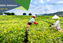 EL FRM ORGANIZA 2 SEMINARIOS WEB SOBRE CÓMO LOGRAR POLÍTICAS INNOVADORAS QUE POTENCIEN EL PAPEL TRANSFORMADOR DE LOS AGRICULTORES Y AGRICULTORAS FAMILIARES