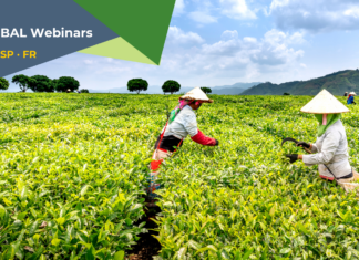 LE FRM ORGANISE DEUX WEBINAIRES SUR LA MISE EN PLACE DE POLITIQUES INNOVANTES VISANT À RENFORCER LE RÔLE TRANSFORMATEUR DES AGRICULTRICES ET AGRICULTEURS FAMILIAUX