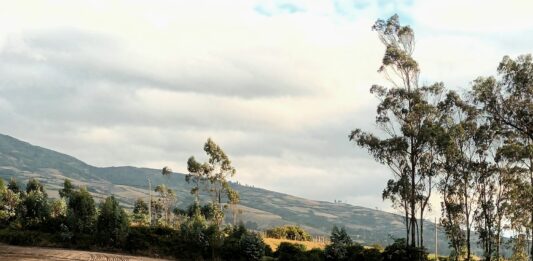 LE 5ème APPEL À PROPOSITIONS POUR LE FONDS DE SOUTIEN AUX COMITÉS NATIONAUX DE L’AGRICULTURE FAMILIALE (CNAF) EST MAINTENANT OUVERT