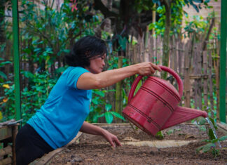 NEW REPORT! Family Farmers’ Review of the First 5 Years of the UNDFF 2019-2028