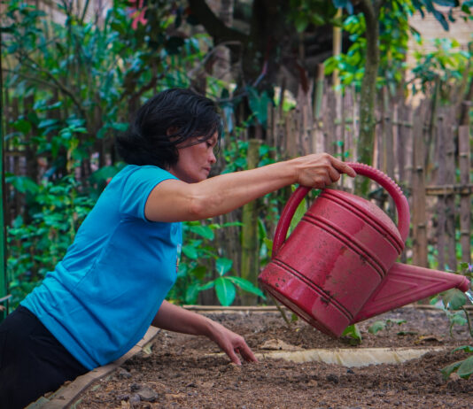 NOUVEAU RAPPORT ! Les agricultrices et agriculteurs familiaux font le point sur les 5 premières années de la DNUAF 2019-2028