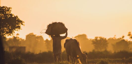 Abierta la convocatoria del 6º Fondo de Apoyo a los Comités Nacionales de la Agricultura Familiar